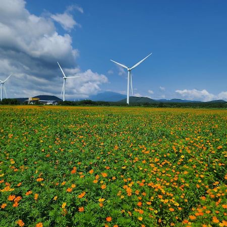 Brassica Flower Pension Seogwipo Extérieur photo