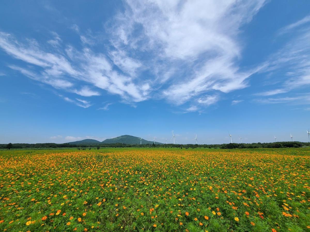 Brassica Flower Pension Seogwipo Extérieur photo