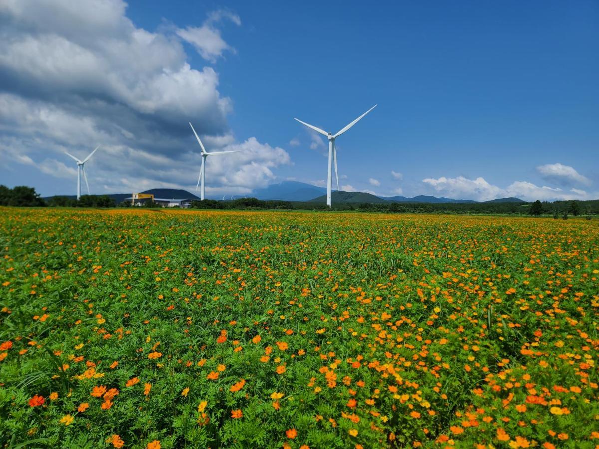 Brassica Flower Pension Seogwipo Extérieur photo