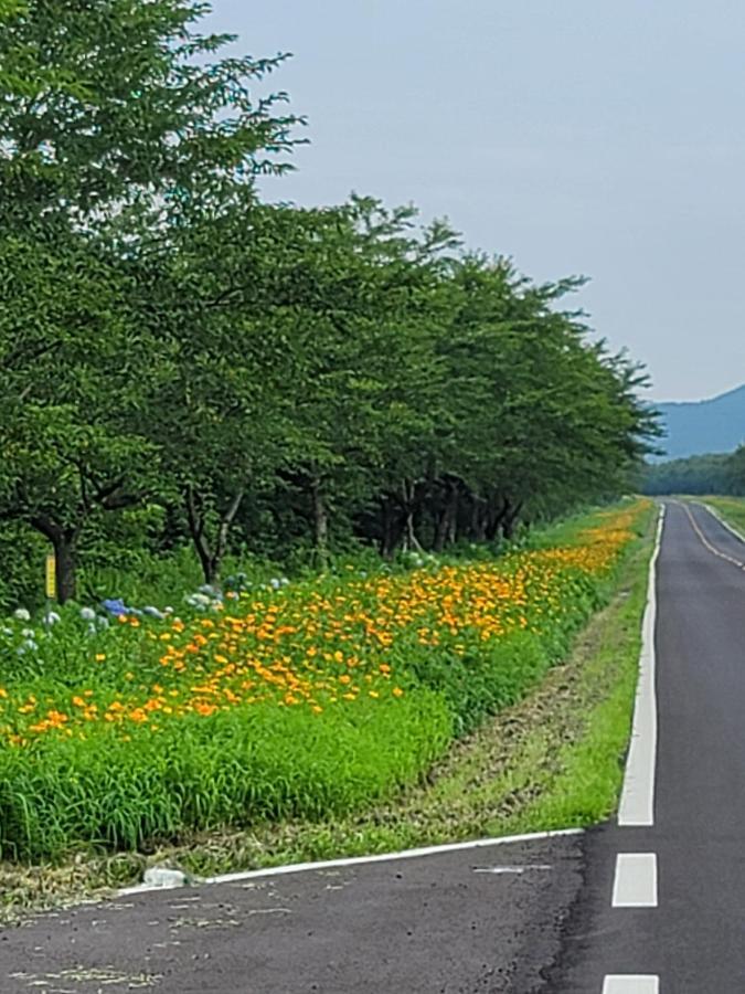 Brassica Flower Pension Seogwipo Extérieur photo