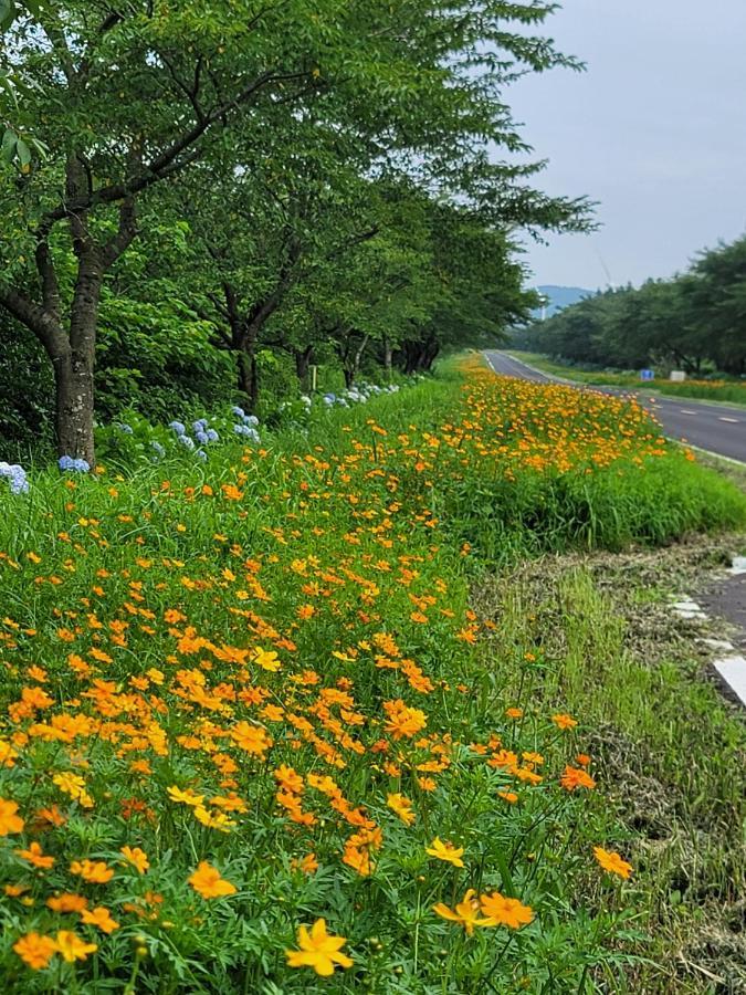 Brassica Flower Pension Seogwipo Extérieur photo