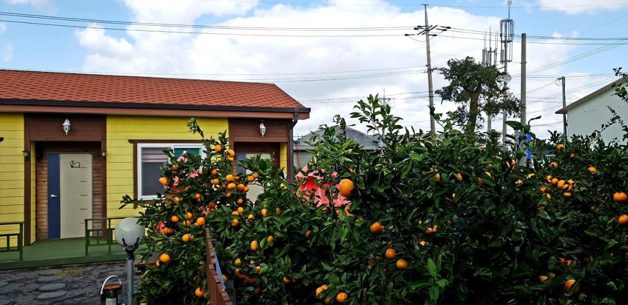 Brassica Flower Pension Seogwipo Extérieur photo