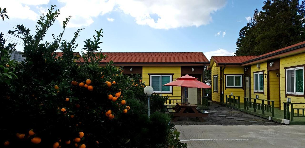 Brassica Flower Pension Seogwipo Extérieur photo