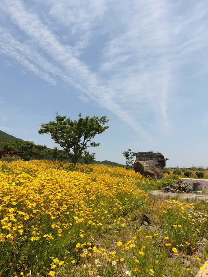 Brassica Flower Pension Seogwipo Extérieur photo
